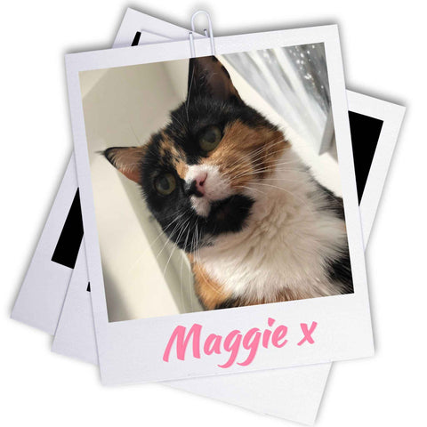 Just4youonlineUK Mascot Our Cat Maggie