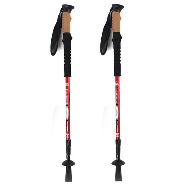 anti shock trekking pole