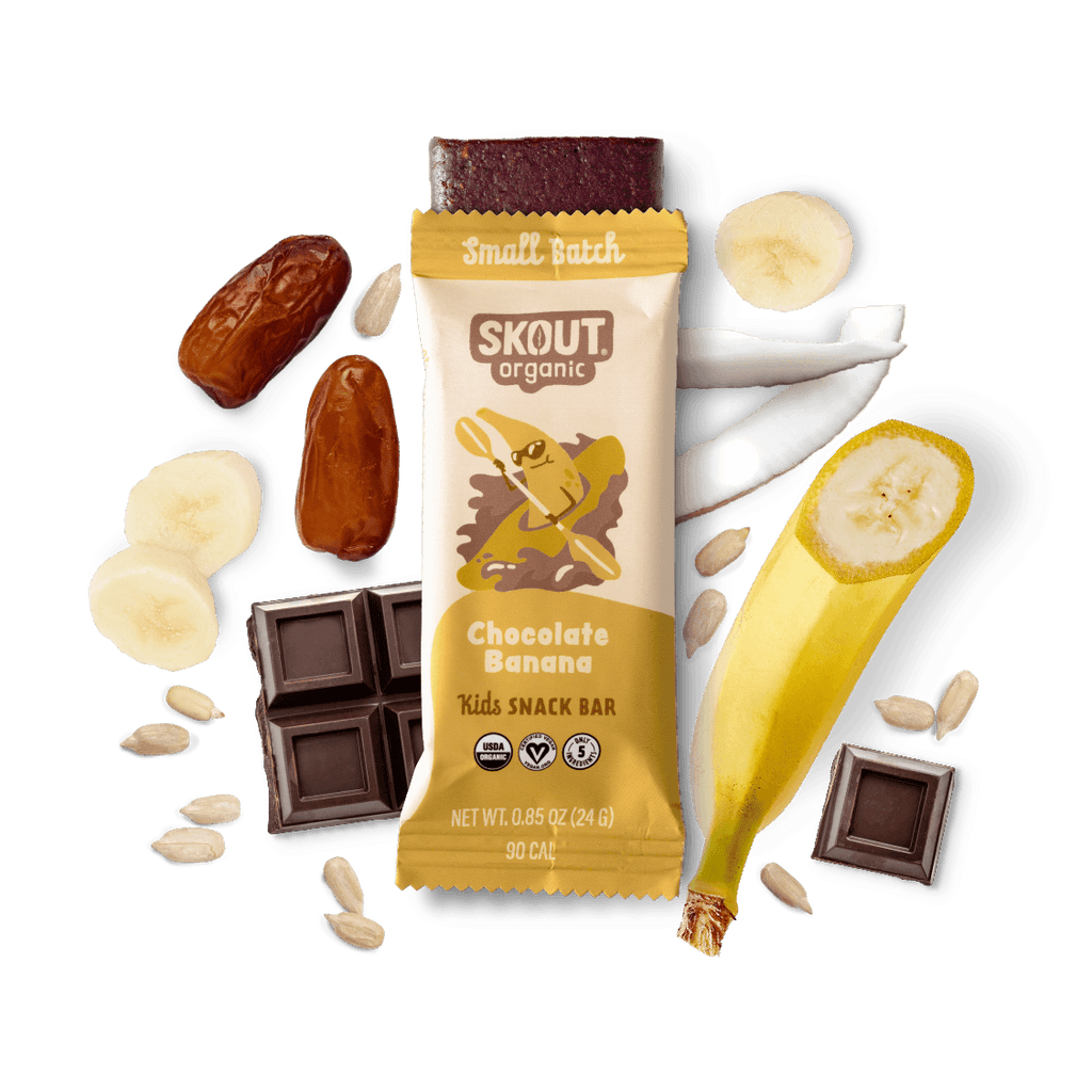 Skout Organic Chocolate Banana Kids Bar