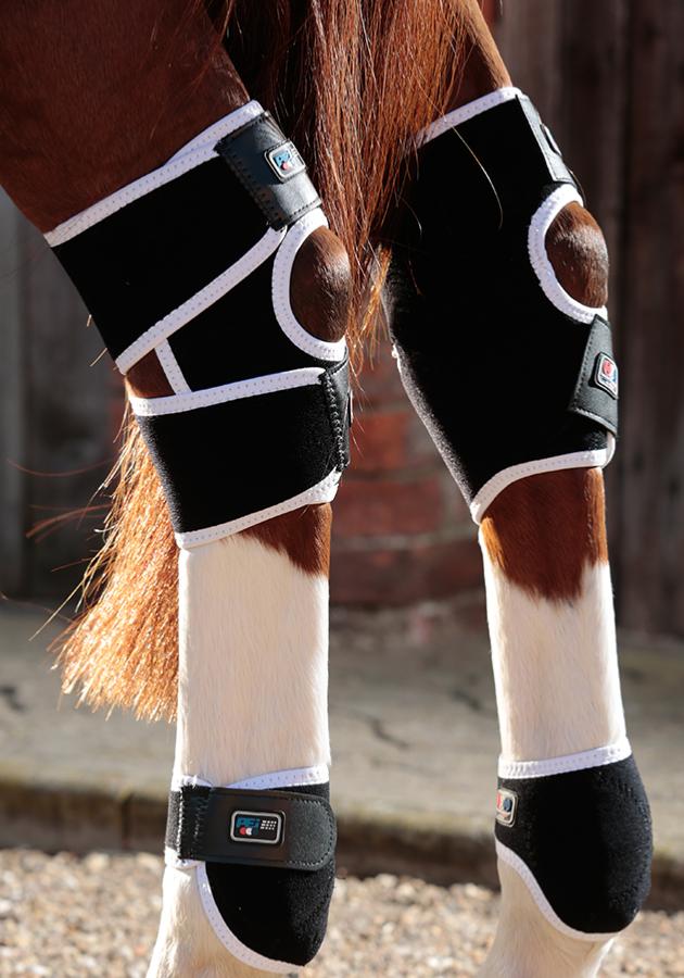 hock boots for horses