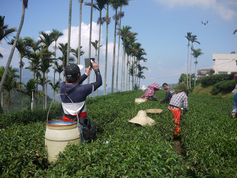 Beyond Fairtrade In Taiwan Canton Tea