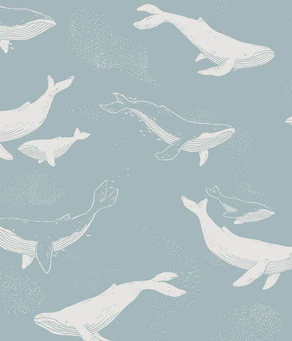 Whales blue wallpaper – Newbie
