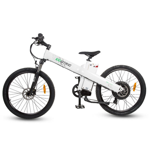 Ecotric Seagull E Mountain Bicycle