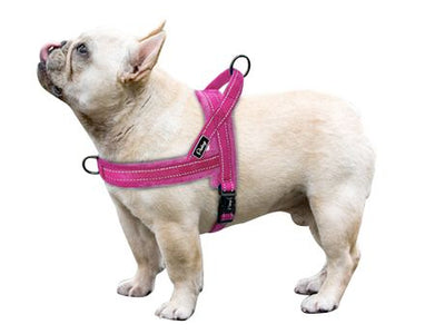 French Bulldog Harnesses - 15 Best Designs Tested On Our Own Frenchies ...