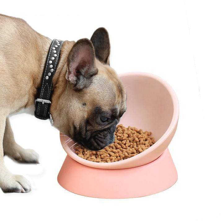 360 Degree Slanted Dog Bowl – Frenchie 