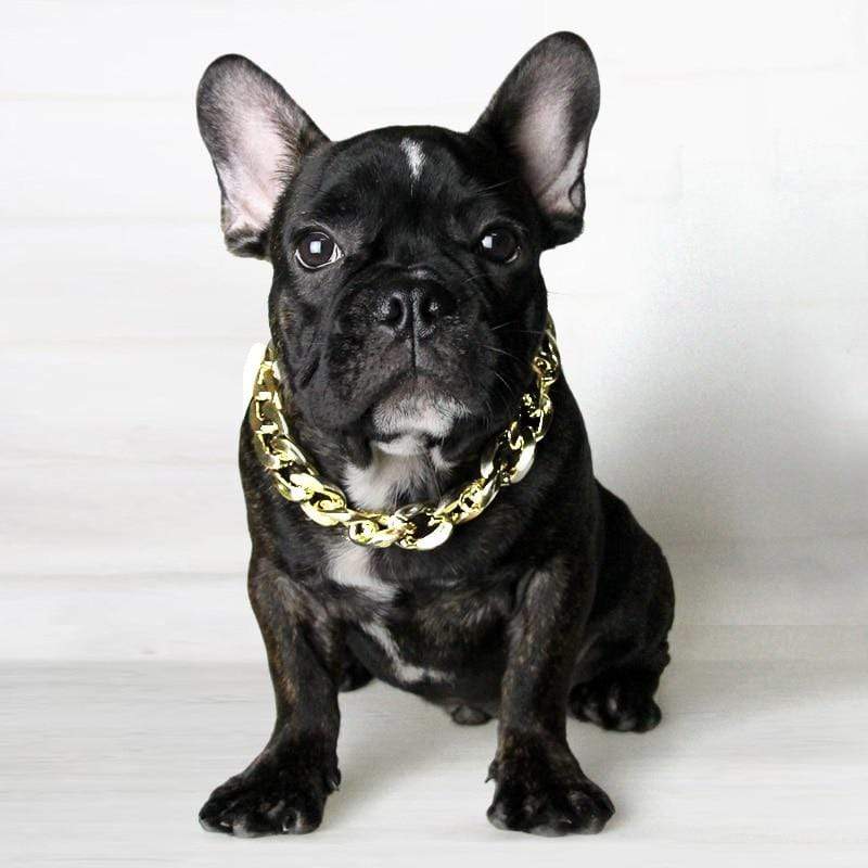 Bling French Bulldog Collar – Frenchie 