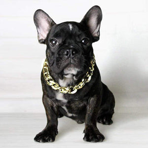 french bulldog puppy collar