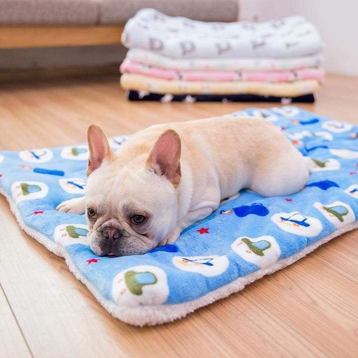 dog sleeping pad
