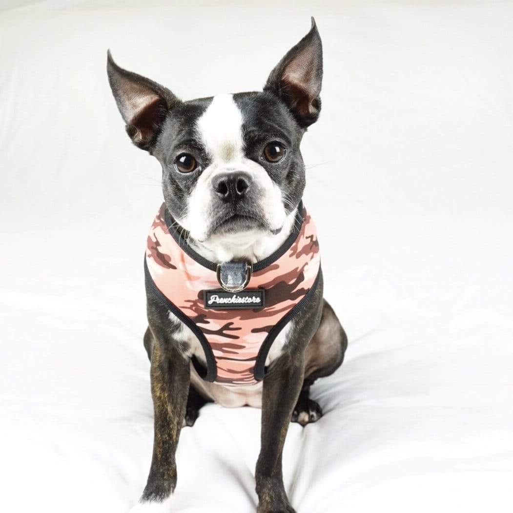 French Bulldog Camouflage Reversible Harness – Frenchie World Shop