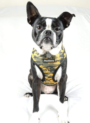 French Bulldog Camouflage Reversible Harness – Frenchie World Shop