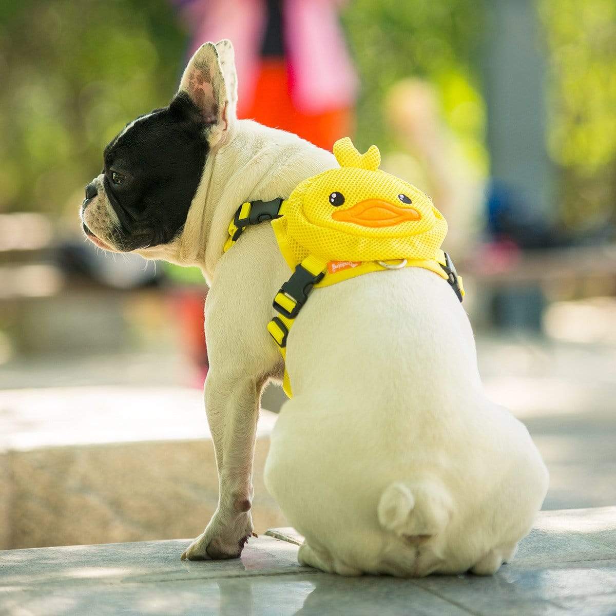 dog backpack harness