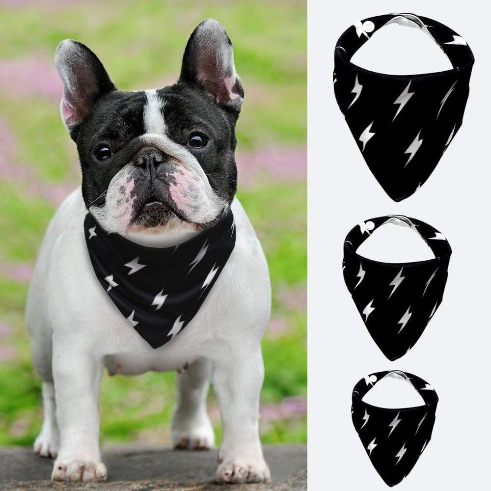 french bulldog accessories