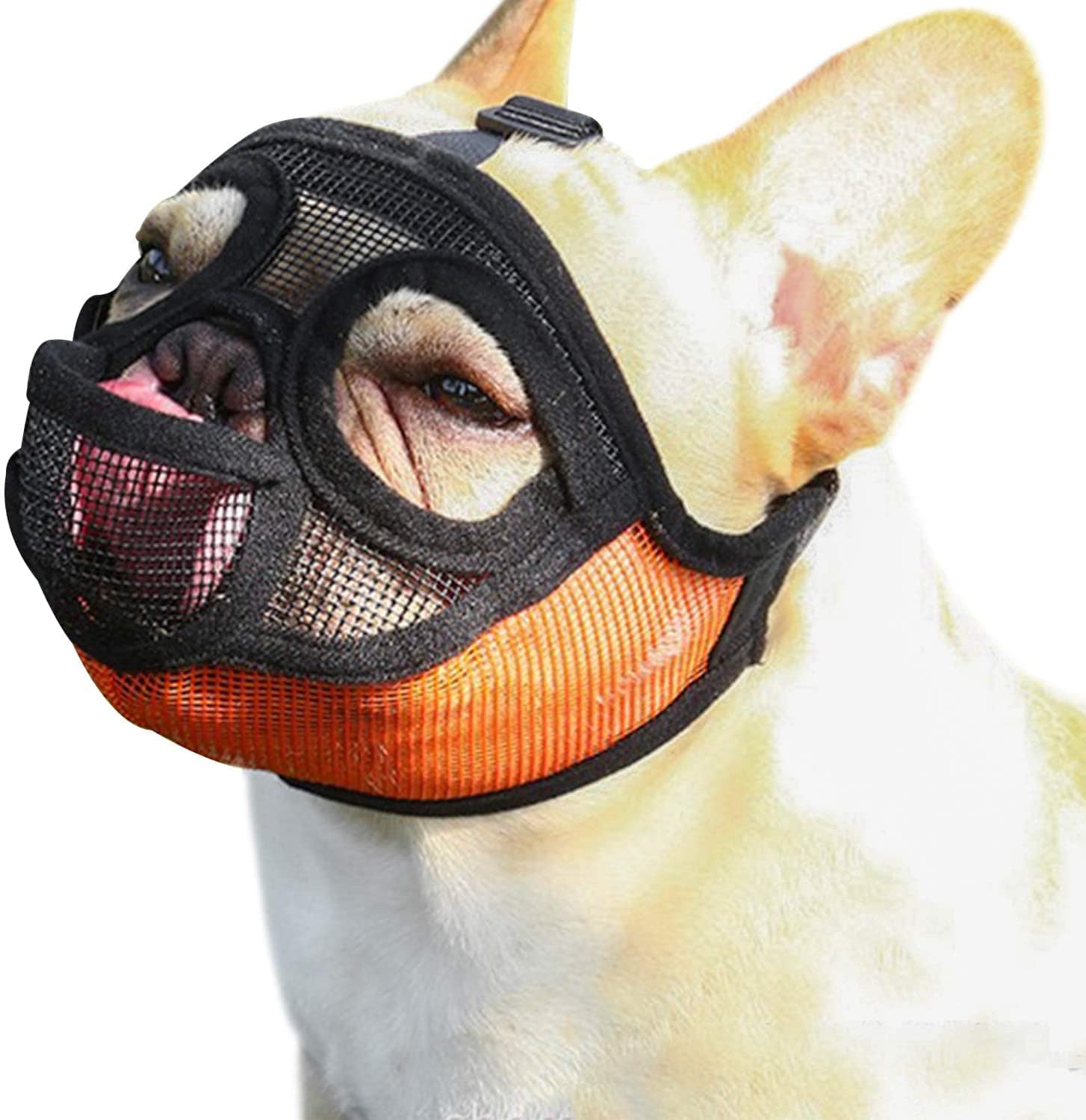 dog muzzle for frenchies