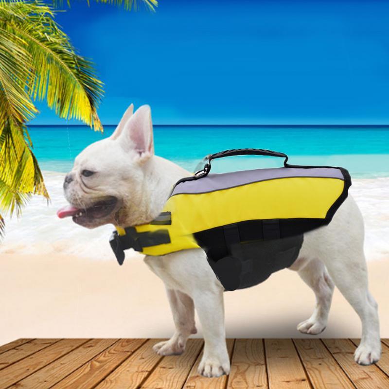 54 Best Pictures French Bulldog Life Jacket Amazon 20