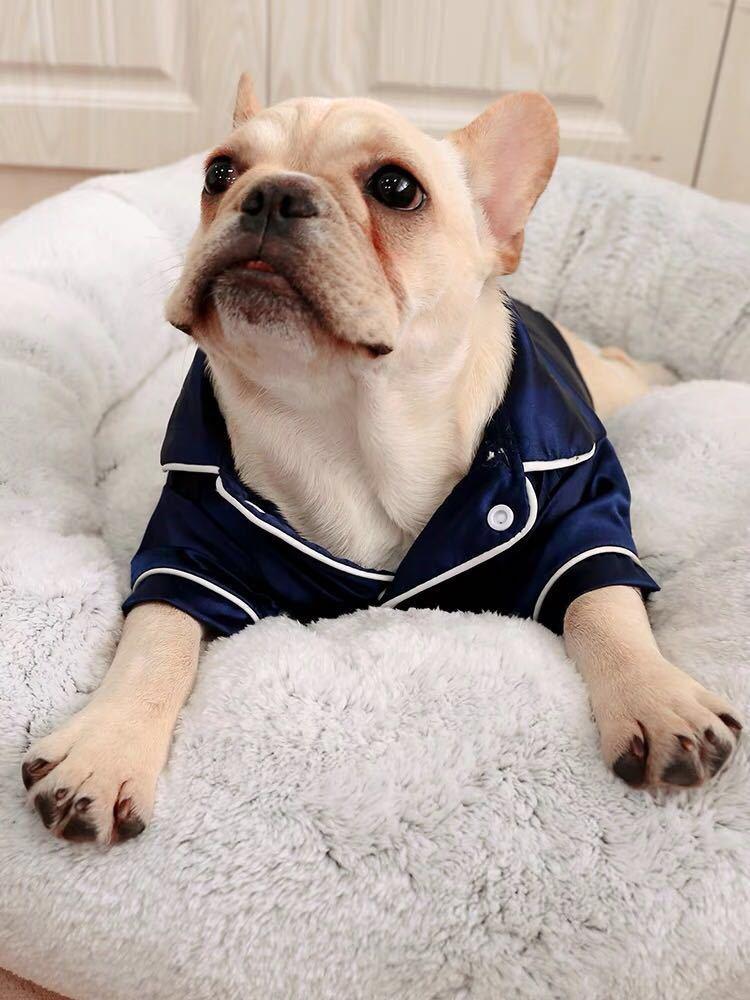 Satin Frenchie Pajamas – Frenchie World Shop