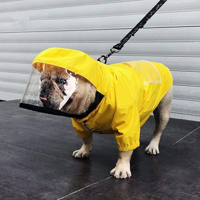 raincoat shop