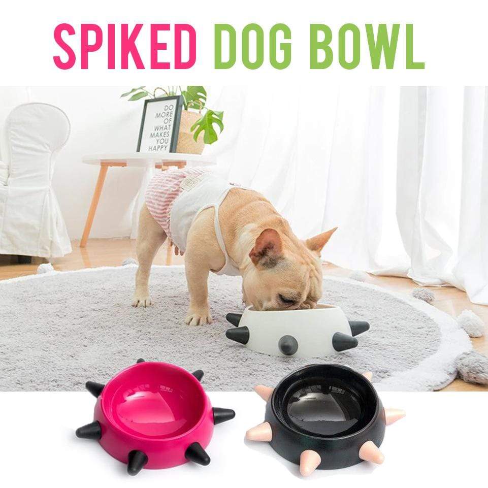 spiked dog bowl