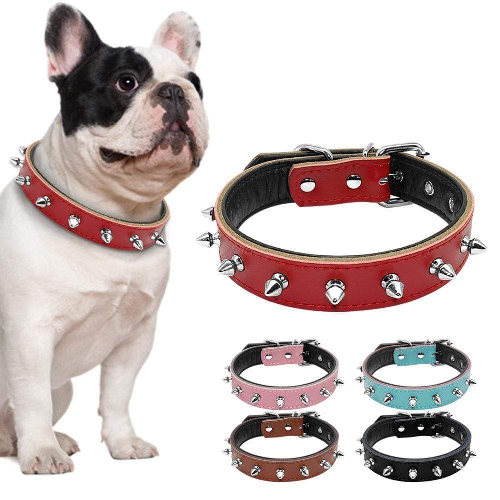 Spiked Leather French Bulldog Collar