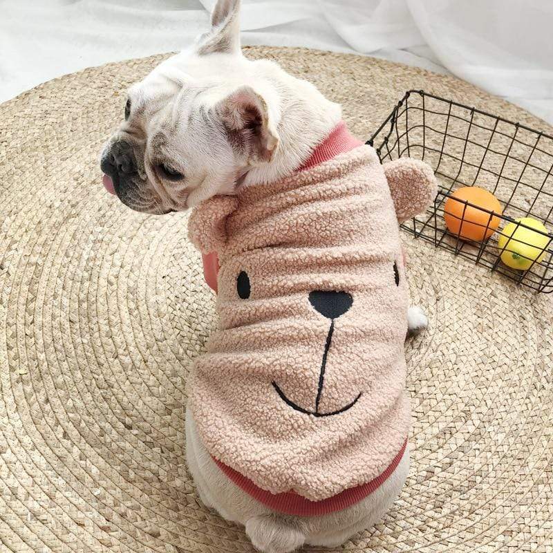 teddy bear french bulldog