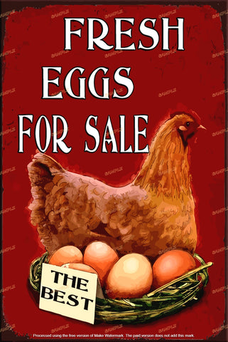 BEST EGGS FOR SALE Retro Vintage Art Wall Décor for Country Home Farm Kitchen Barn Fence Coop Poster Tin Sign Metal