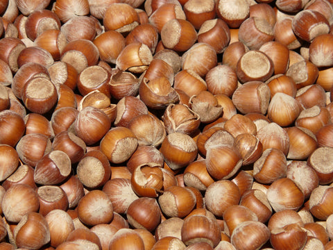 Homemade nutella hazelnuts