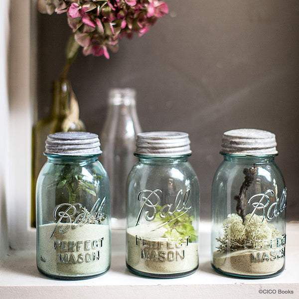 House Plants Mason Jars