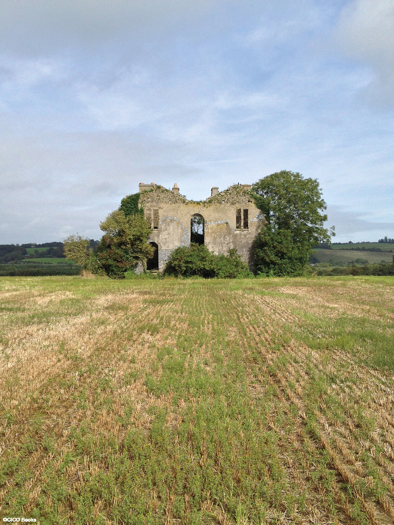 Ruins of Ireland