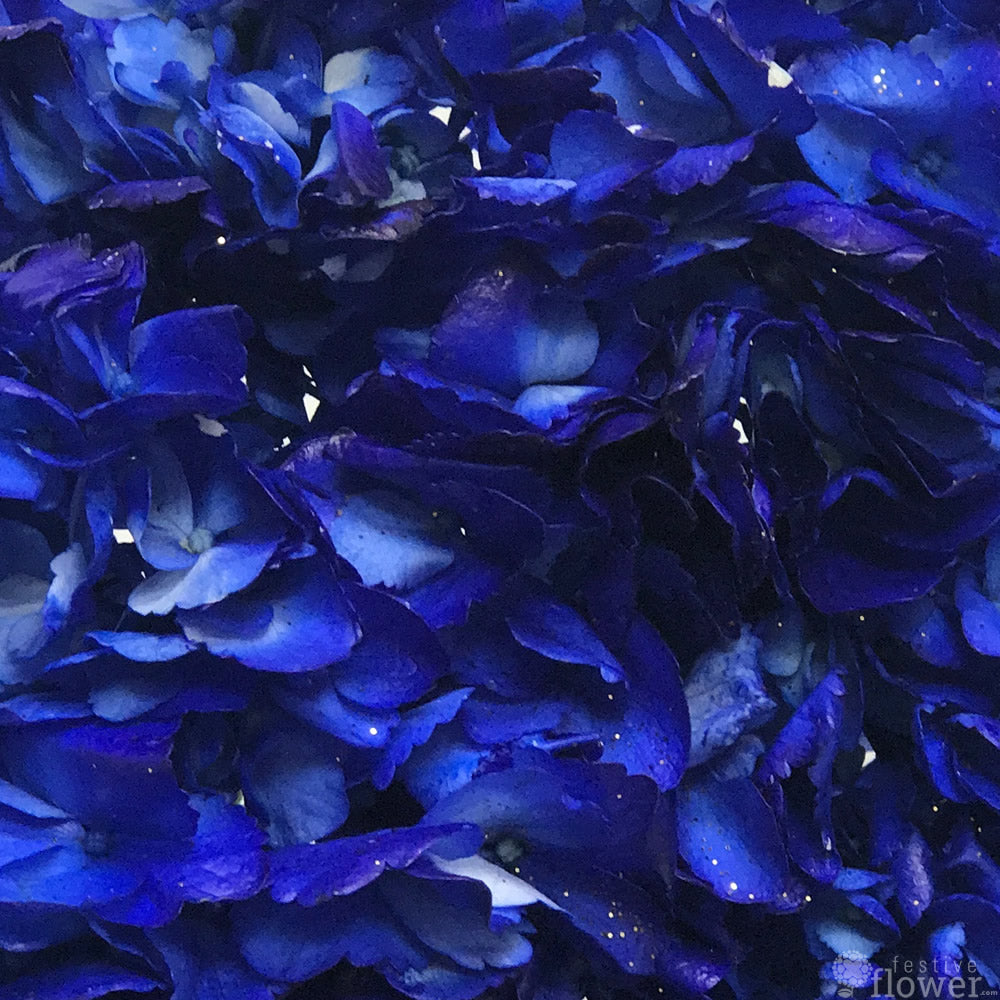 Electric Blue Hydrangeas (Navy Blue) - Festive Flower