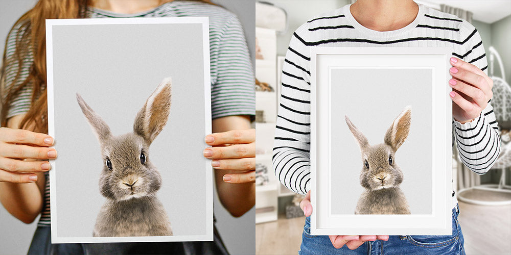 an unframed rabbit art print and an example of a framed rabbit art print
