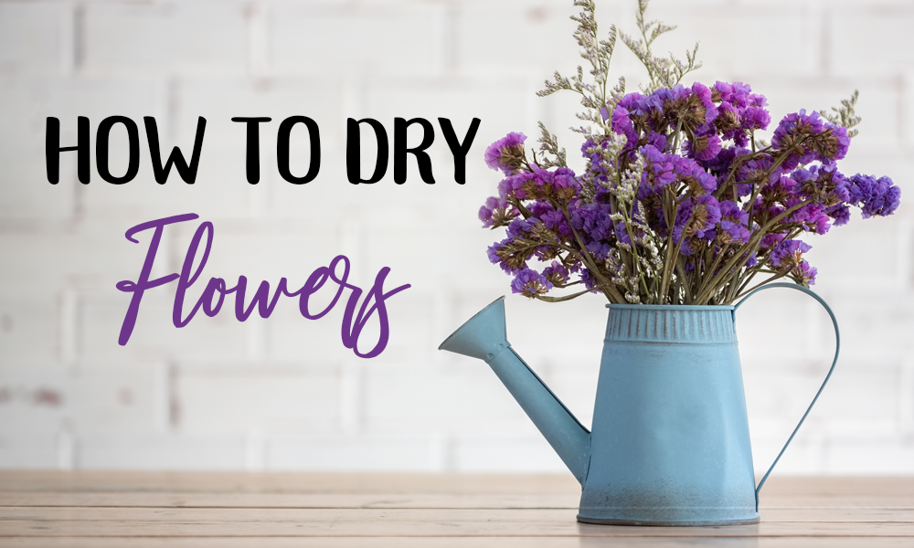 How To Dry Flowers Unexpected Drying Methods That WORK DIY Craft Club   How To Dry Flowers 2c908a08 3688 4b9f 9e2d A46d3bafcb2d 1200x 