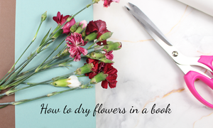 5 Easy Steps To Drying Flowers In Books | Step By Step with Video