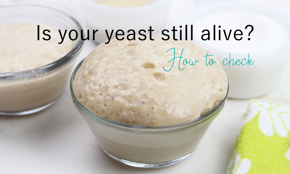 5 Steps For Checking If Yeast Is Still Alive DIY Craft Club