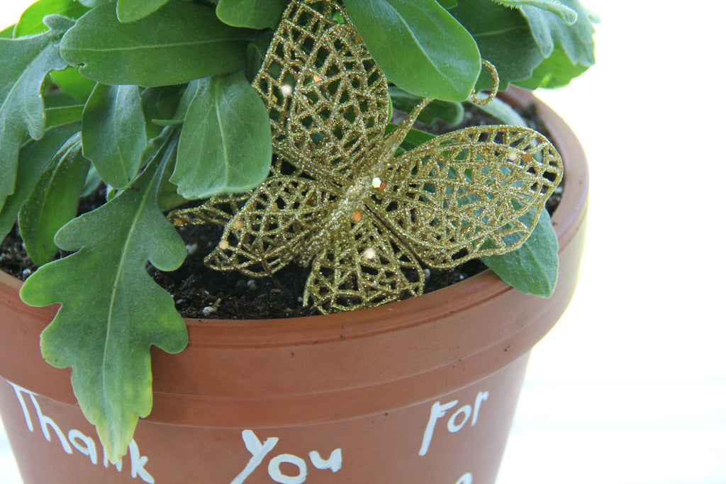 DIY Painted ceramic pot gift