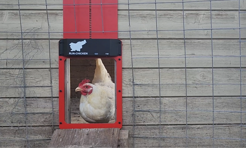 Best Automatic Chicken Coop Door for Canada