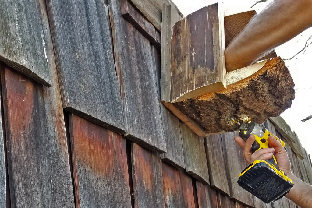 How To Build DIY Bird Nesting Boxes