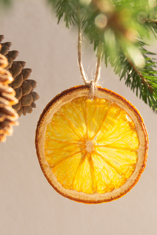 Dried Orange Slices