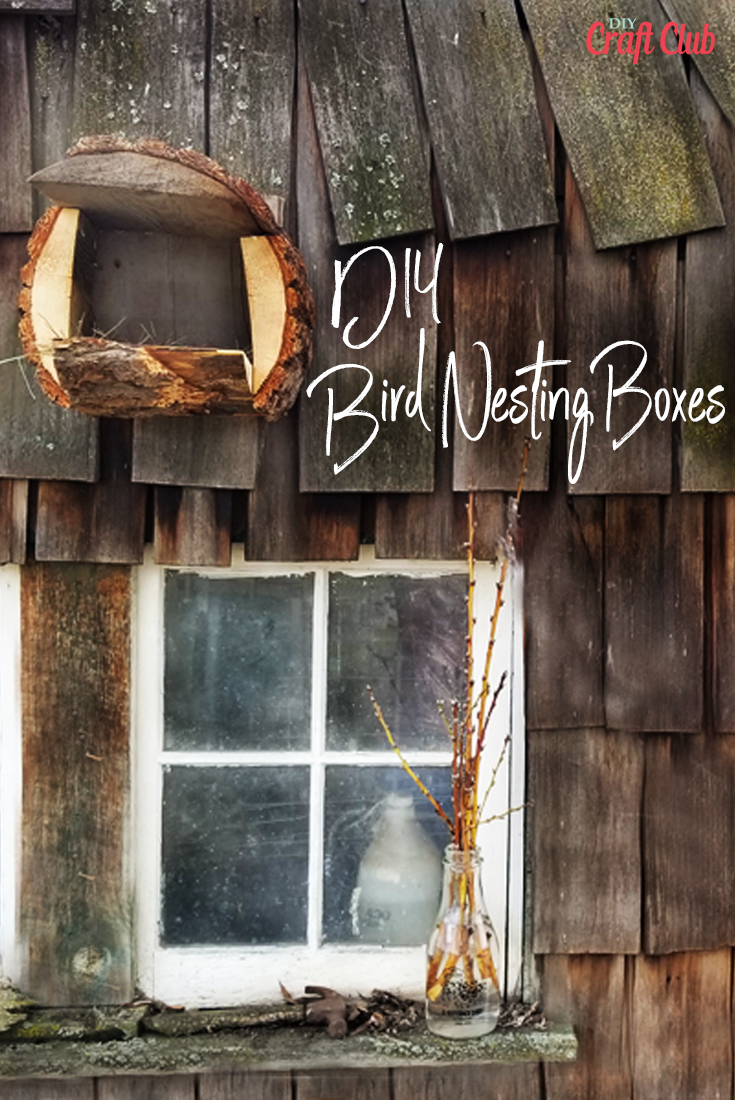 How To Build DIY Bird Nesting Boxes