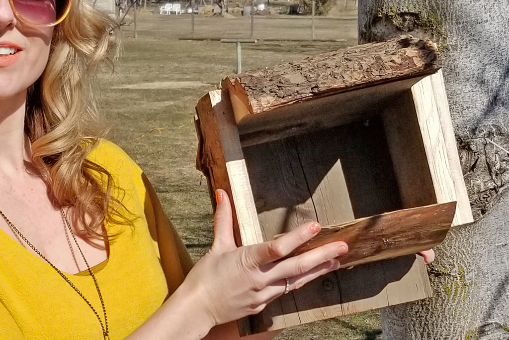 How To Build DIY Bird Nesting Boxes