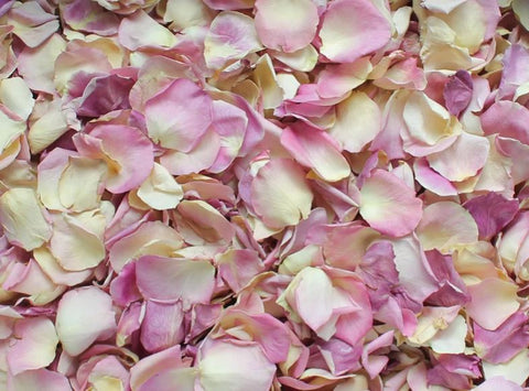 Rose petals for engagement