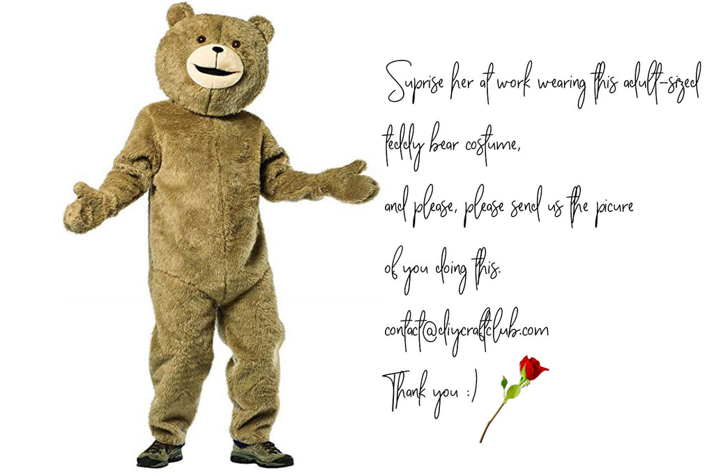 Valentine's Day funny teddy bear gift