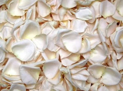 white rose petals for a wedding