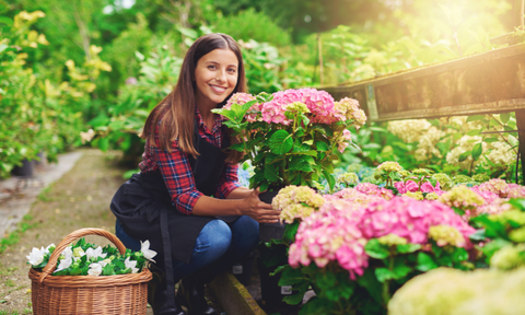 Flower Garden