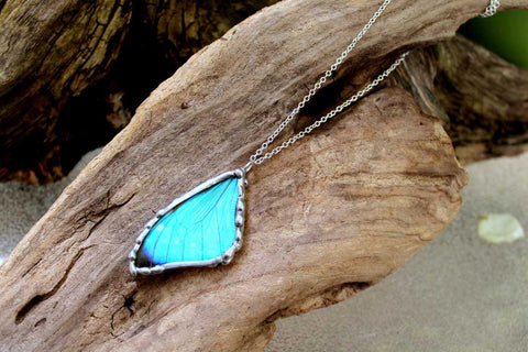 real butterfly wing jewelry on etsy