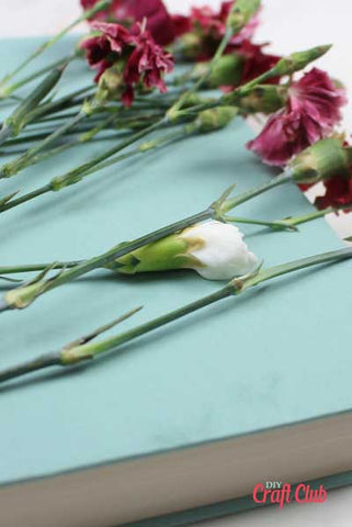 how to dry flowers inside books
