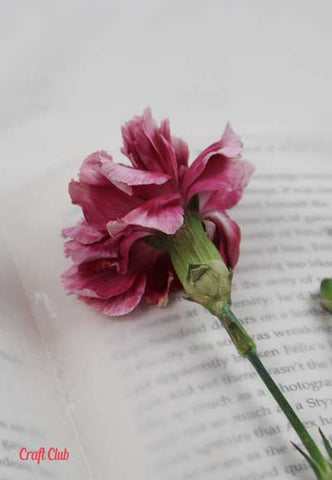 how to dry flowers inside books