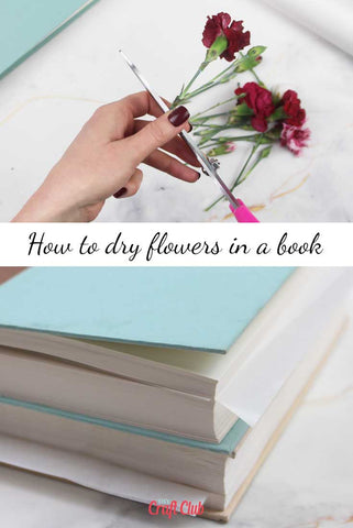 how to dry flowers inside books