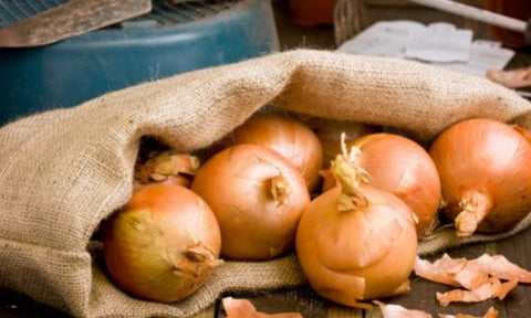 how to caramelize onions