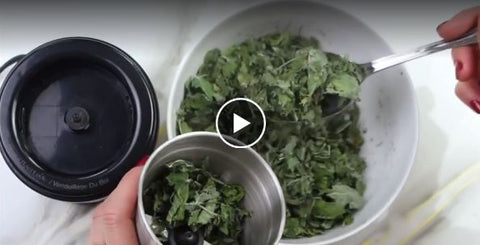 how to make mint powder