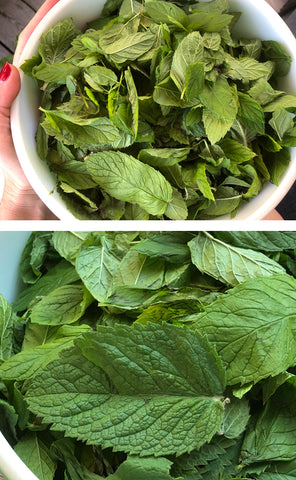 how to make mint powder