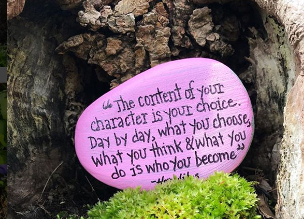 The Kindness Rocks Project